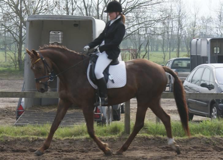 Anden særlig race Artesia - 26/4 2009 - Stævne USR, taget på opvarmningen - Fotograf: Min mor billede 19