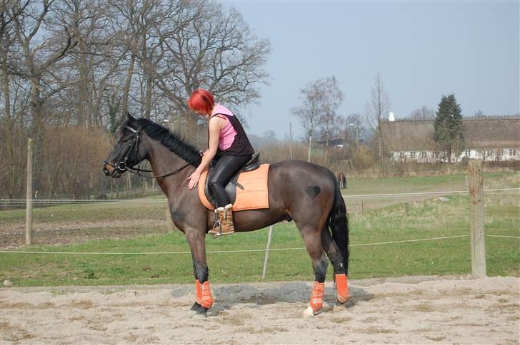 Anden særlig race Prince Charming SOLGT :'( - han er bare så super dejlig <3 billede 3