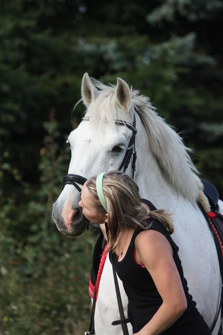 Connemara Joker gl. part /':  - 18# Den hest, får mit hjerte til at smelte <3! . foto: louise  billede 18