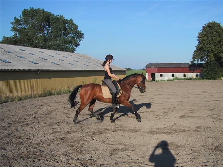 Connemara heisselager dancing lady - hehe... miin lille pony <3 en af de sølle 5 dage det nu var varmt i sommerferien (2007) hehe billede 11