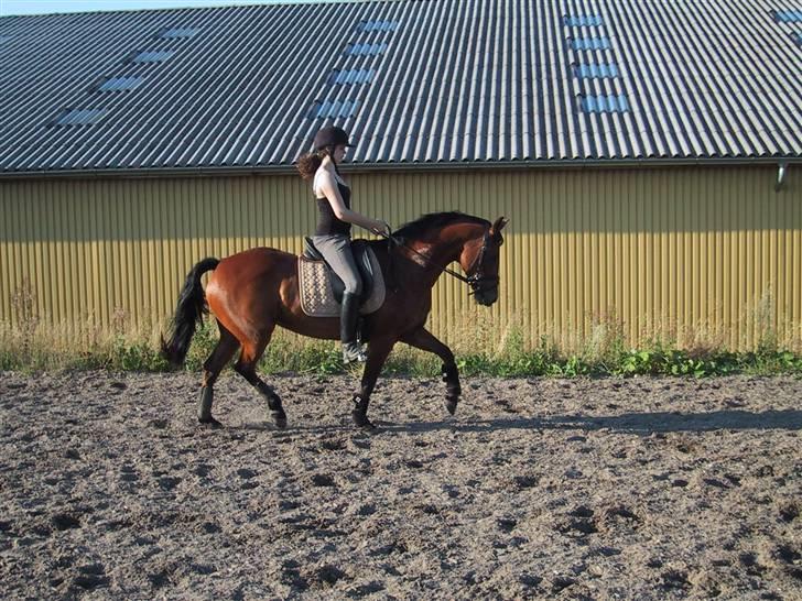 Connemara heisselager dancing lady - hehe.... ved ik liiige hva vi laver... men det er da et meget kært billede... <3 ? :´) billede 13