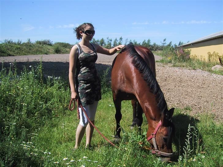 Connemara heisselager dancing lady - haha... vi råhyggede liige i varmen.. man kan ligeså godt lave noget andet når det er for varmt til at ride.. :) billede 15