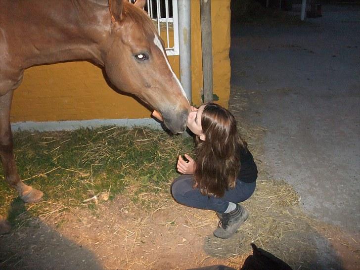 Fuldblod (XX) Pamela´s Boy<3 :´) himmel hest  billede 17