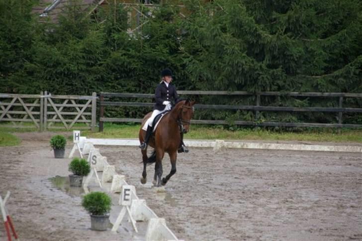 Oldenborg Miss Peri - Til stævne billede 8