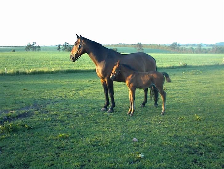 Oldenborg Beate  - Et par uger efter Maks kom til verden. Foto: min mor billede 7