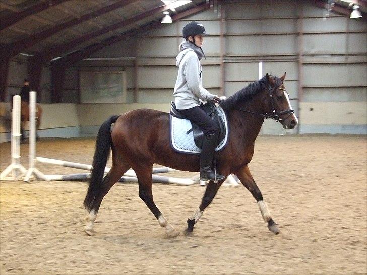 New Forest Oudelands Turbo - 30 aug Foto MF billede 18