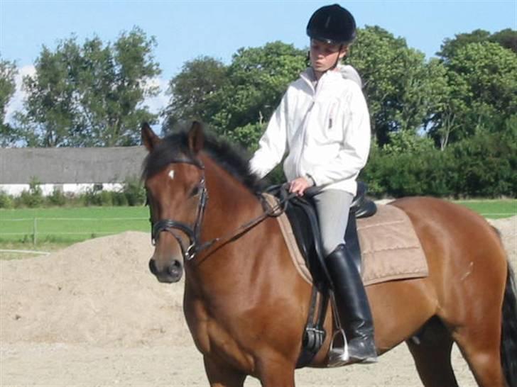 Anden særlig race Future Star *SOLGT* - 16# Lækre diq<33´ billede 16