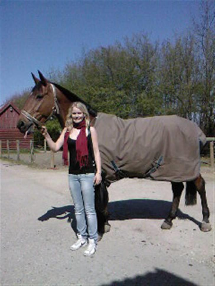 Dansk Varmblod Kara SOLGT - #3 Sidste dag, Kara og jeg. Se hendes tunge :o) billede 3