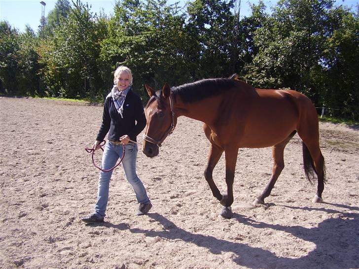 Dansk Varmblod Kara SOLGT - #4 Da vi tøffer rundt på banen, læg mærke til hendes rolige øjeblik d;  billede 4