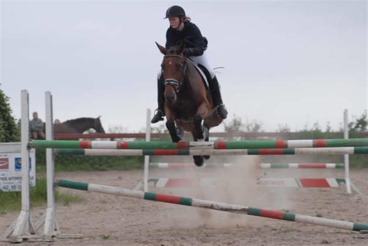 Dansk Varmblod Kara SOLGT - #13 Kara med gamle ejer.  billede 13