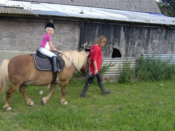 Anden særlig race kasper - her er jeg på min lille dejlige pony billede 5