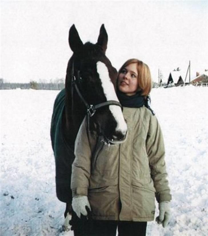 Dansk Varmblod Jetsmarks Odessa *R.I.P.* - På fold i sneen på Baunehøj, vinteren 2003/2004. billede 10