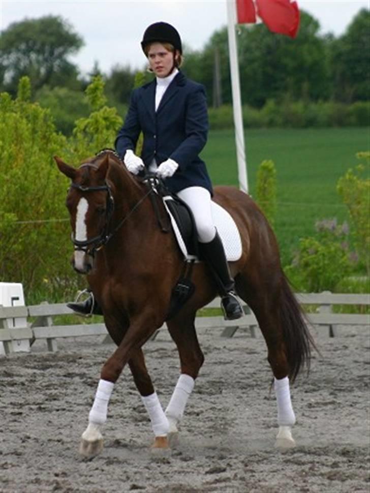 Dansk Varmblod Jetsmarks Odessa *R.I.P.* - Vallø Sportsrideklub den 27. maj 2006. Schenkelvigning i LA1. billede 12