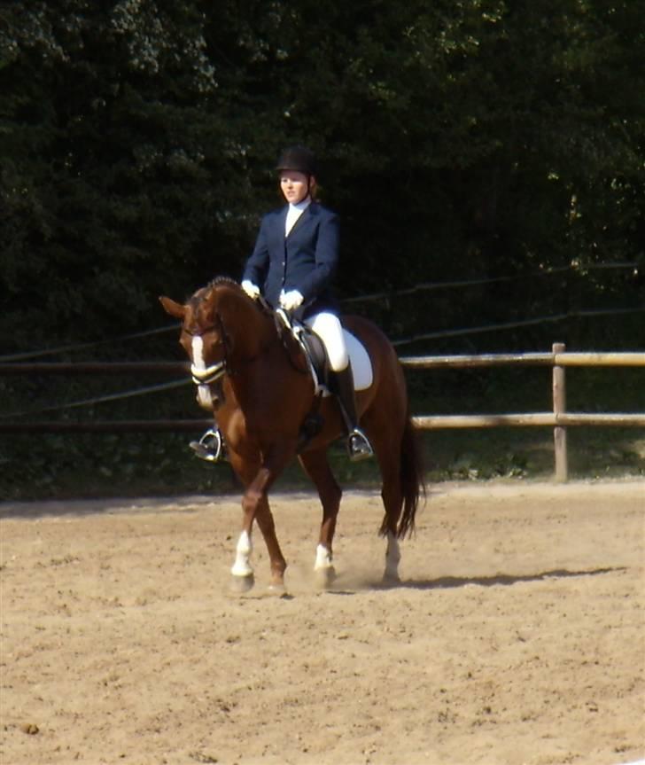 Dansk Varmblod Jetsmarks Odessa *R.I.P.* - Fladså Rideklub den 18. maj 2008. D-stævne. Vores allerførste LA4, red til knap 61%, hvilket var tæt på placering. billede 16