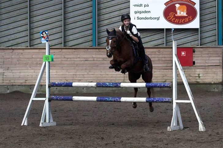 Anden særlig race Lukas - min super spring pony i fuld hopsa!! hhehe billede 16