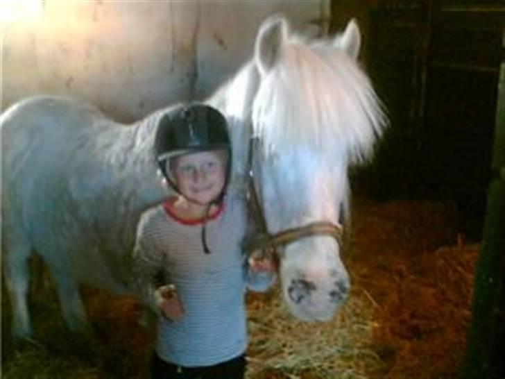 Anden særlig race Emil - R.I.P marts 2011 - Mig og Emil i stalden billede 3