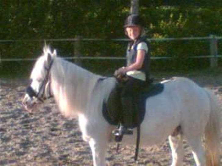 Anden særlig race Emil - R.I.P marts 2011 - Ude og ride på Emil billede 4