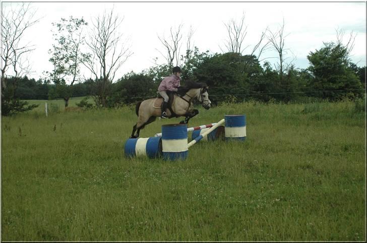 Anden særlig race Kikki - Mig og Kikki over et lidt større spring :D billede 15