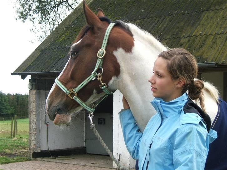 Anden særlig race Bronco - solgt. - Bronco & jeg, efteråret 07 (: billede 11
