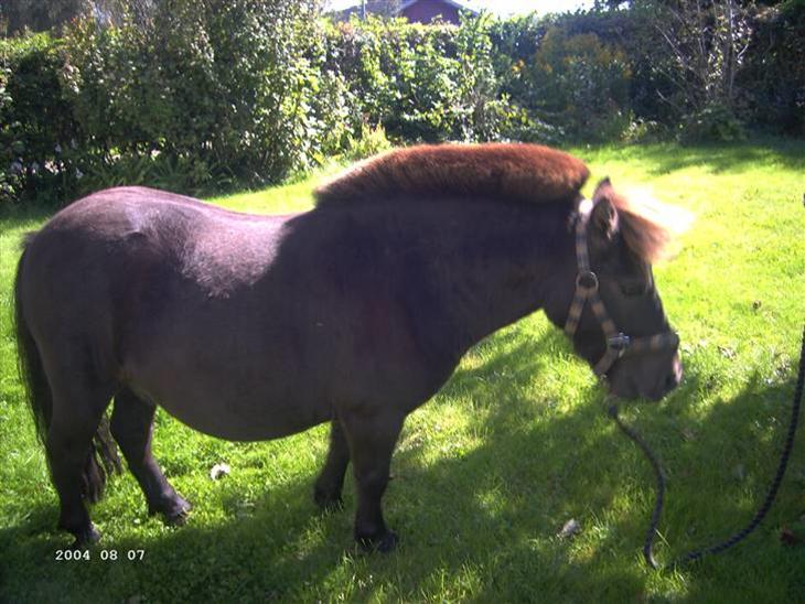 {{currentPhoto.altText}} billede {{currentPhoto.number}}