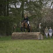 New Forest firfod fielfraz solgt