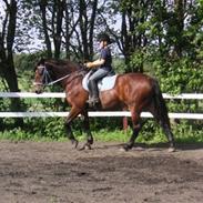 Anden særlig race Mikala - Min Gamle Part 