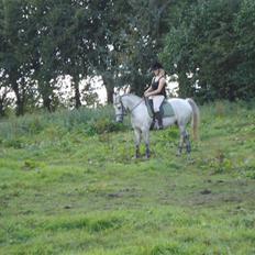 Anden særlig race Madeleine