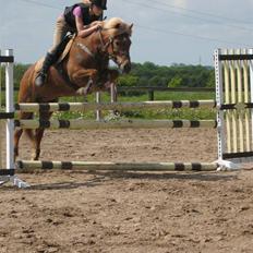 Anden særlig race Andrea <3 - Gl. Part :'/