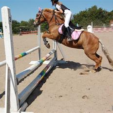 Anden særlig race Andrea <3 - Gl. Part :'/