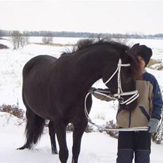 Anden særlig race Muddi *R.I.P.*
