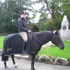 Anden særlig race Muddi *R.I.P.*