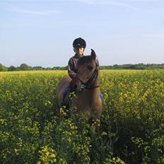 Anden særlig race Emma