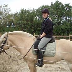 Fjordhest Ingegård's Bea SOLGT