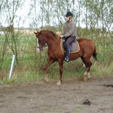 Anden særlig race Johan Jonny (My Joy)