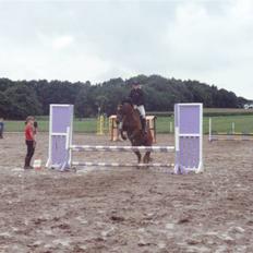 Anden særlig race Milan 