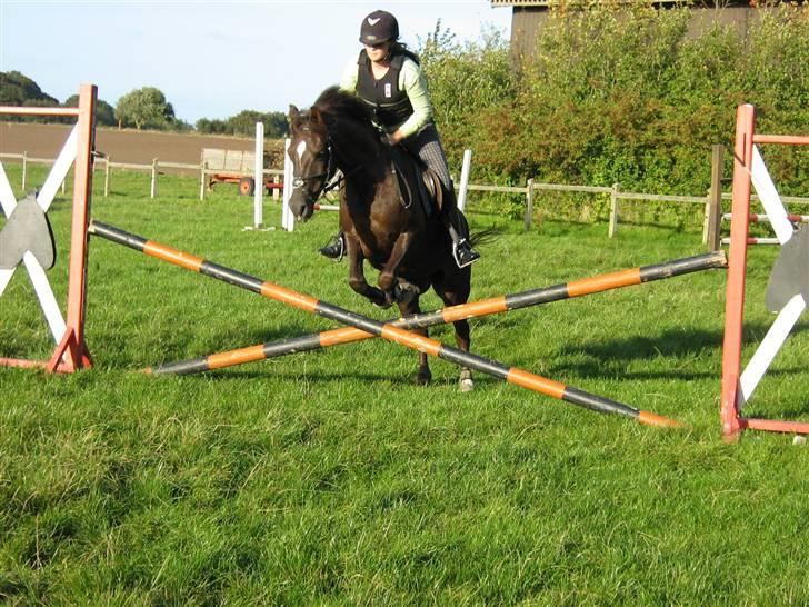 DSP Sønderlunds Parleur  - Opvarmning til spring <3 billede 15