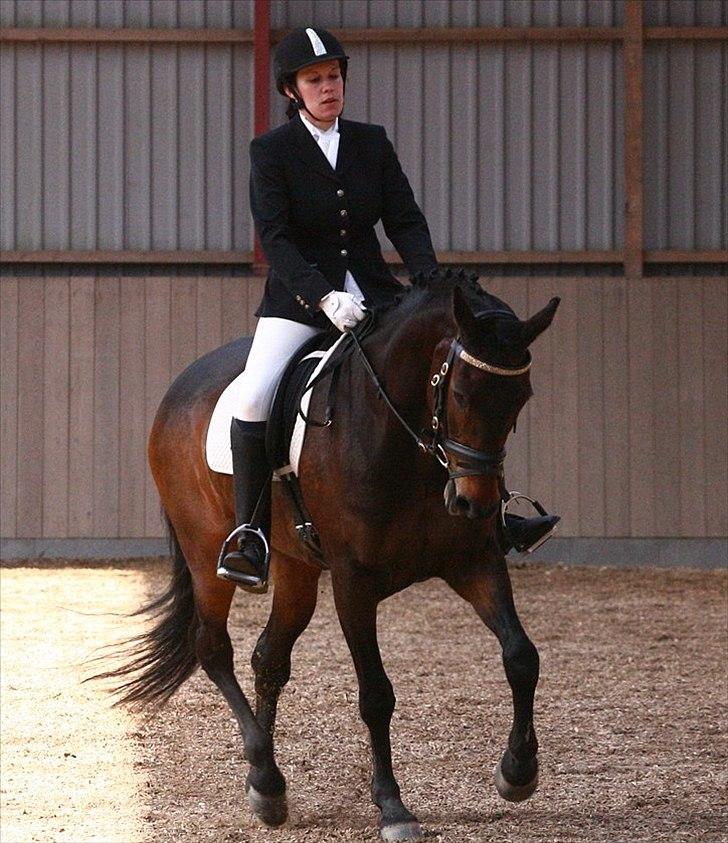 Anden særlig race May Piccolo *Klubmester 2011* - (taget af Camilla Rosenlund /CR-FOTO) billede 12