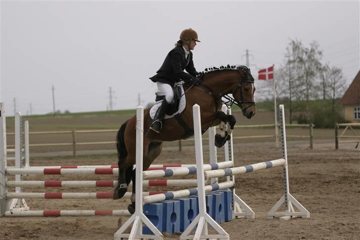 New Forest firfod fielfraz solgt billede 4