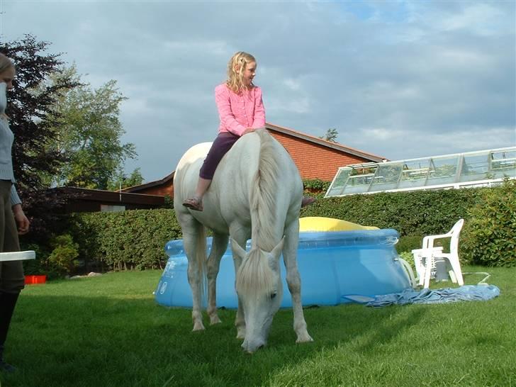 Connemara snubbi - men må sige hun er rolig  billede 13