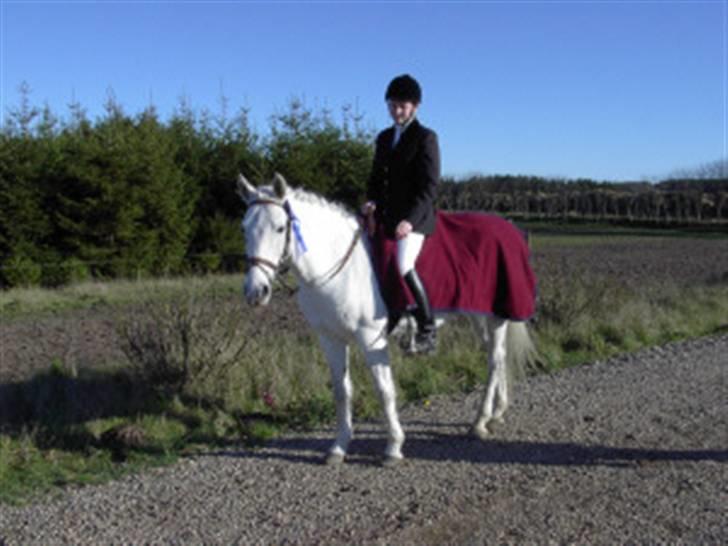 Connemara snubbi - se hvor stolt min mor er <3 billede 15