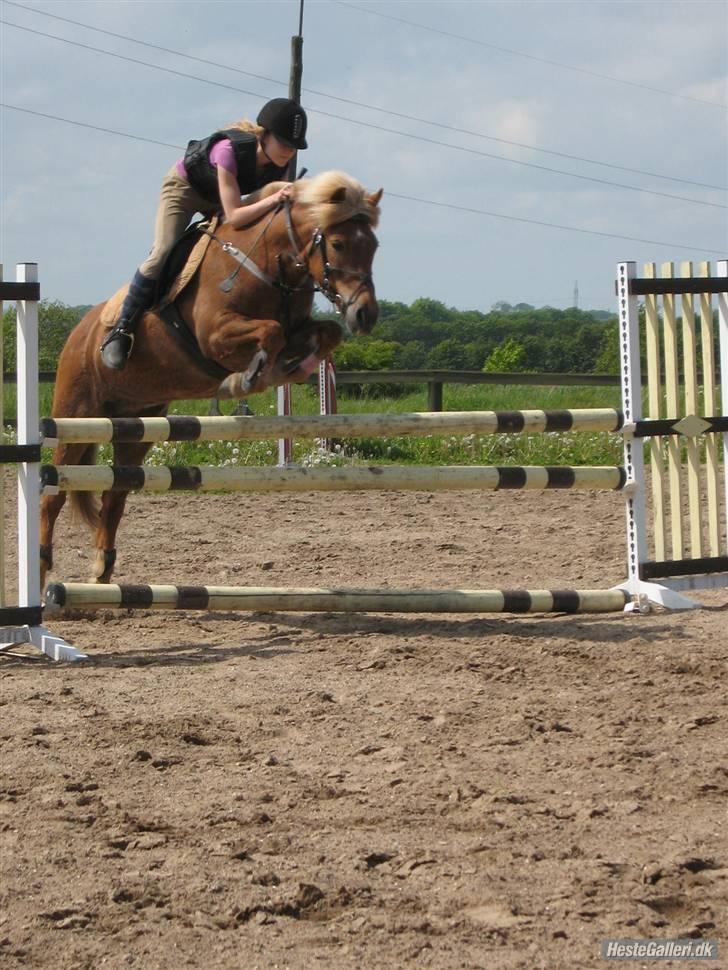 Anden særlig race Andrea <3 - Gl. Part :'/ billede 1