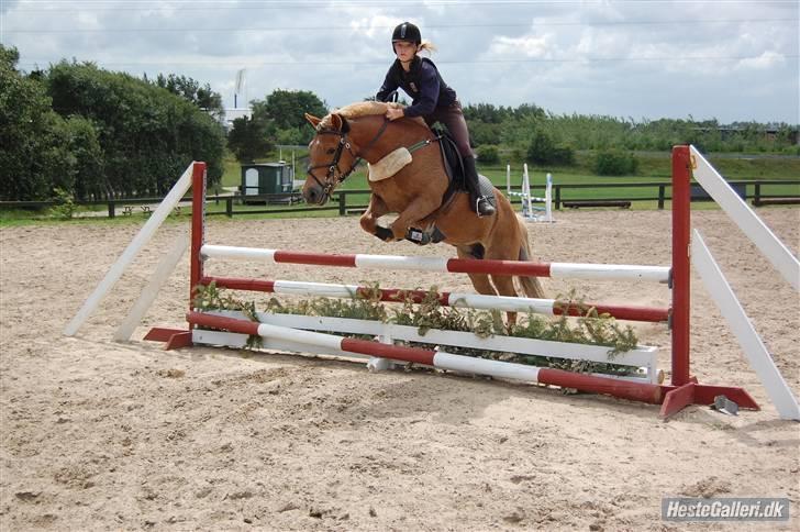 Anden særlig race Andrea <3 - Gl. Part :'/ - Andrea og mig i en rød lodret :b  billede 2