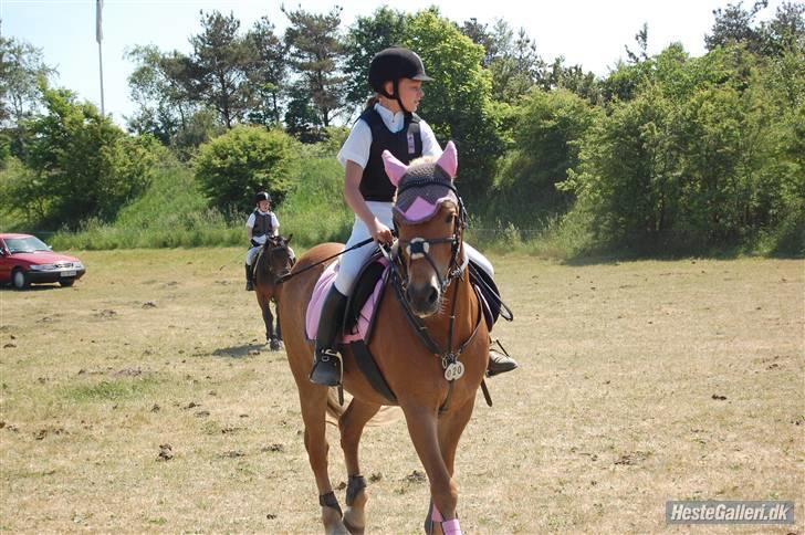 Anden særlig race Andrea <3 - Gl. Part :'/ - Opvarmning, i VHRK. billede 4