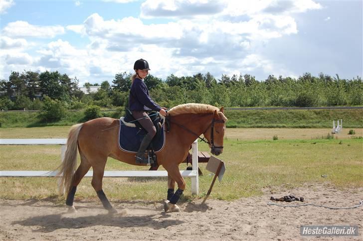 Anden særlig race Andrea <3 - Gl. Part :'/ - Dressur fra i sommer. billede 5