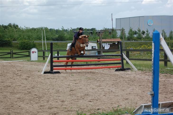 Anden særlig race Andrea <3 - Gl. Part :'/ - Træning. billede 6