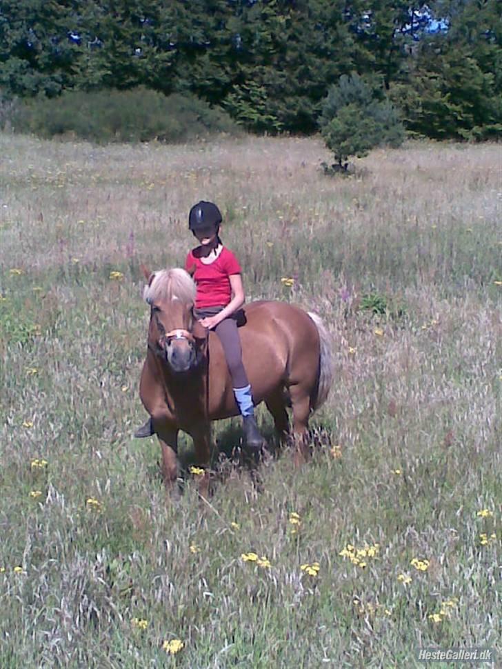 Anden særlig race Andrea <3 - Gl. Part :'/ - En tur i skoven. billede 7