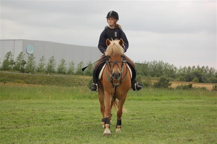 Anden særlig race Andrea <3 - Gl. Part :'/ - Lige før vi skulle til spring undervisning. billede 8