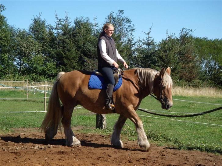 Jyde thea - SOLGT billede 14