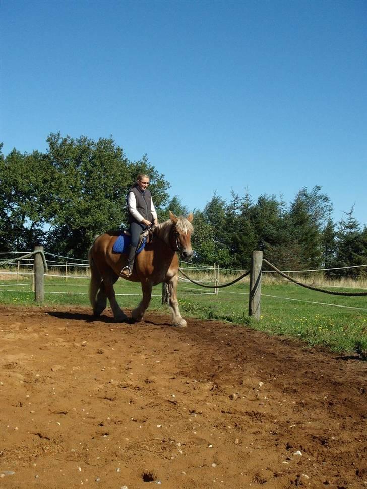 Jyde thea - SOLGT billede 15