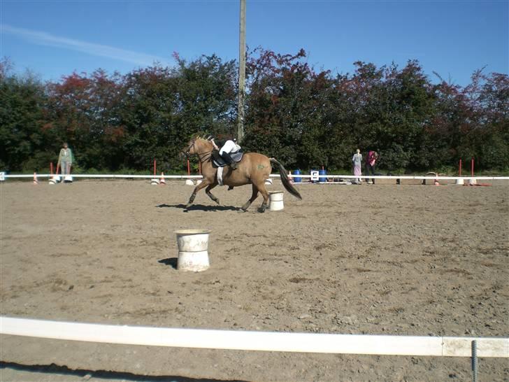 Anden særlig race Emma - Fuld fart får vi fat i avisen :) billede 8